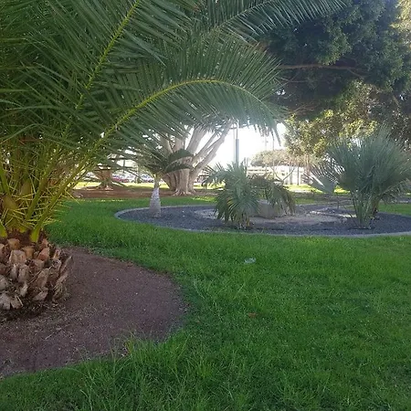 Bahamas Beside The Park And 300m To The Apartament